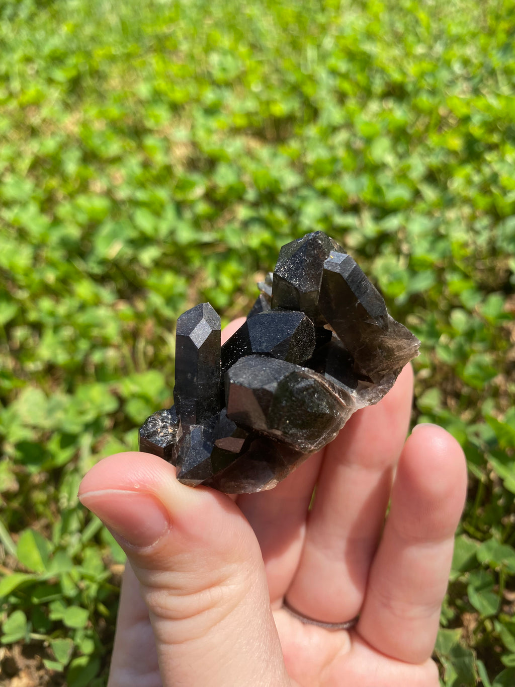 Smoky Quartz Cluster