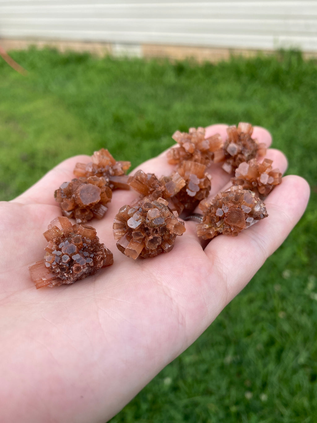 Aragonite