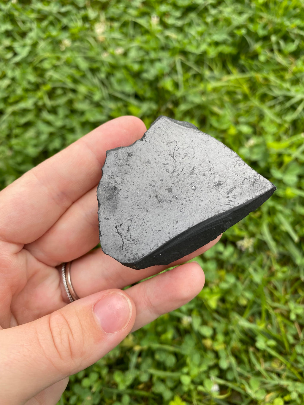 Shungite Specimen