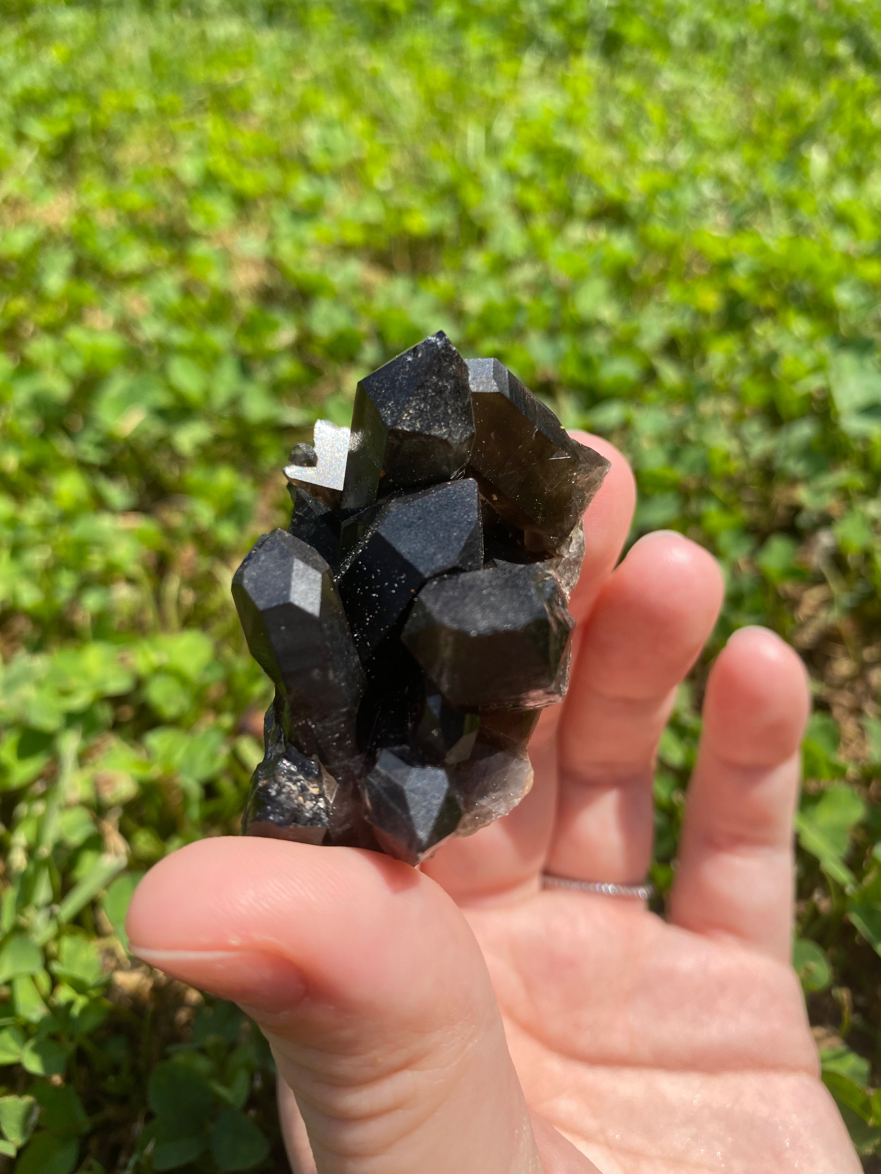 Smoky Quartz Cluster