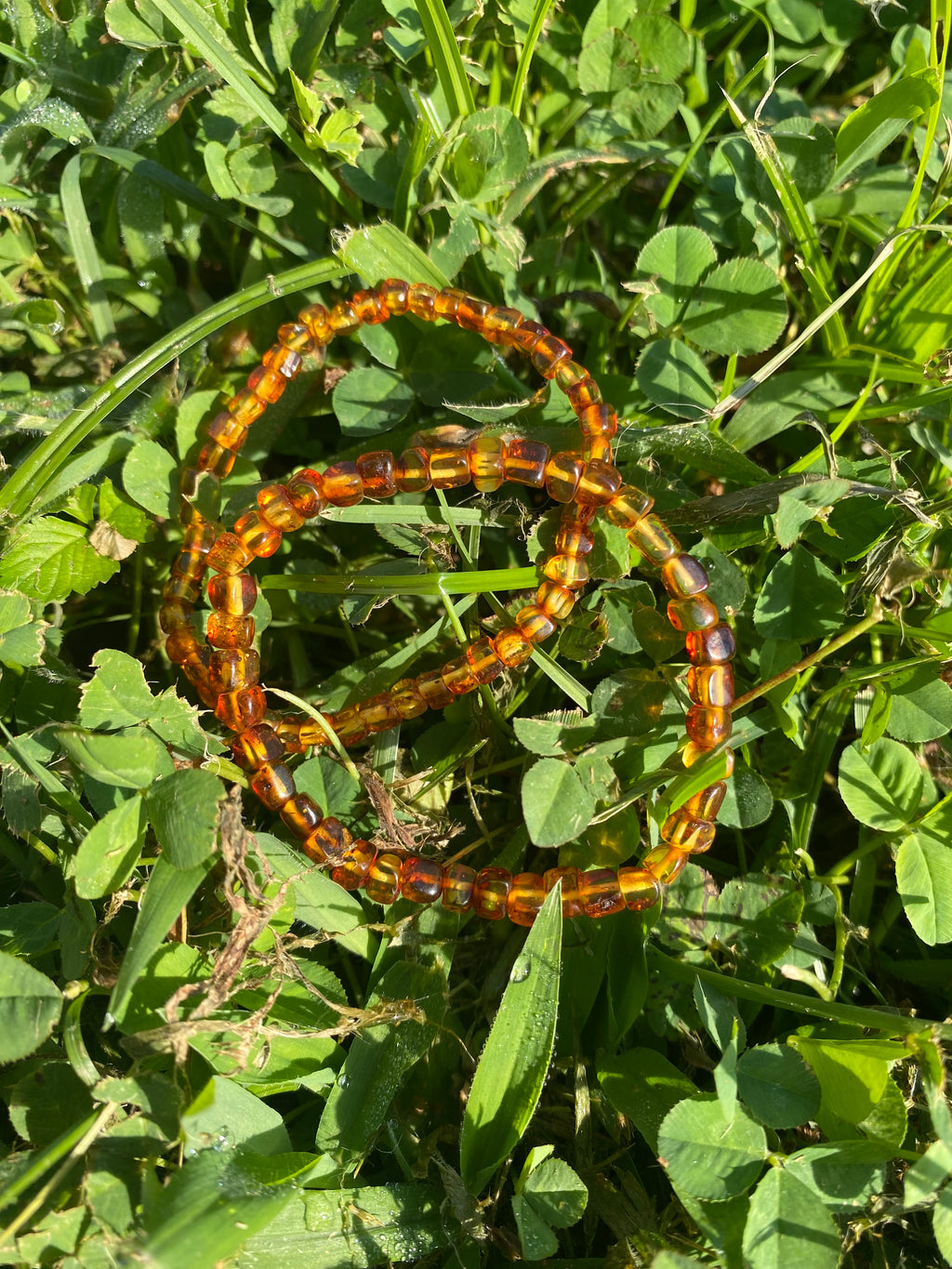 Amber Bracelet