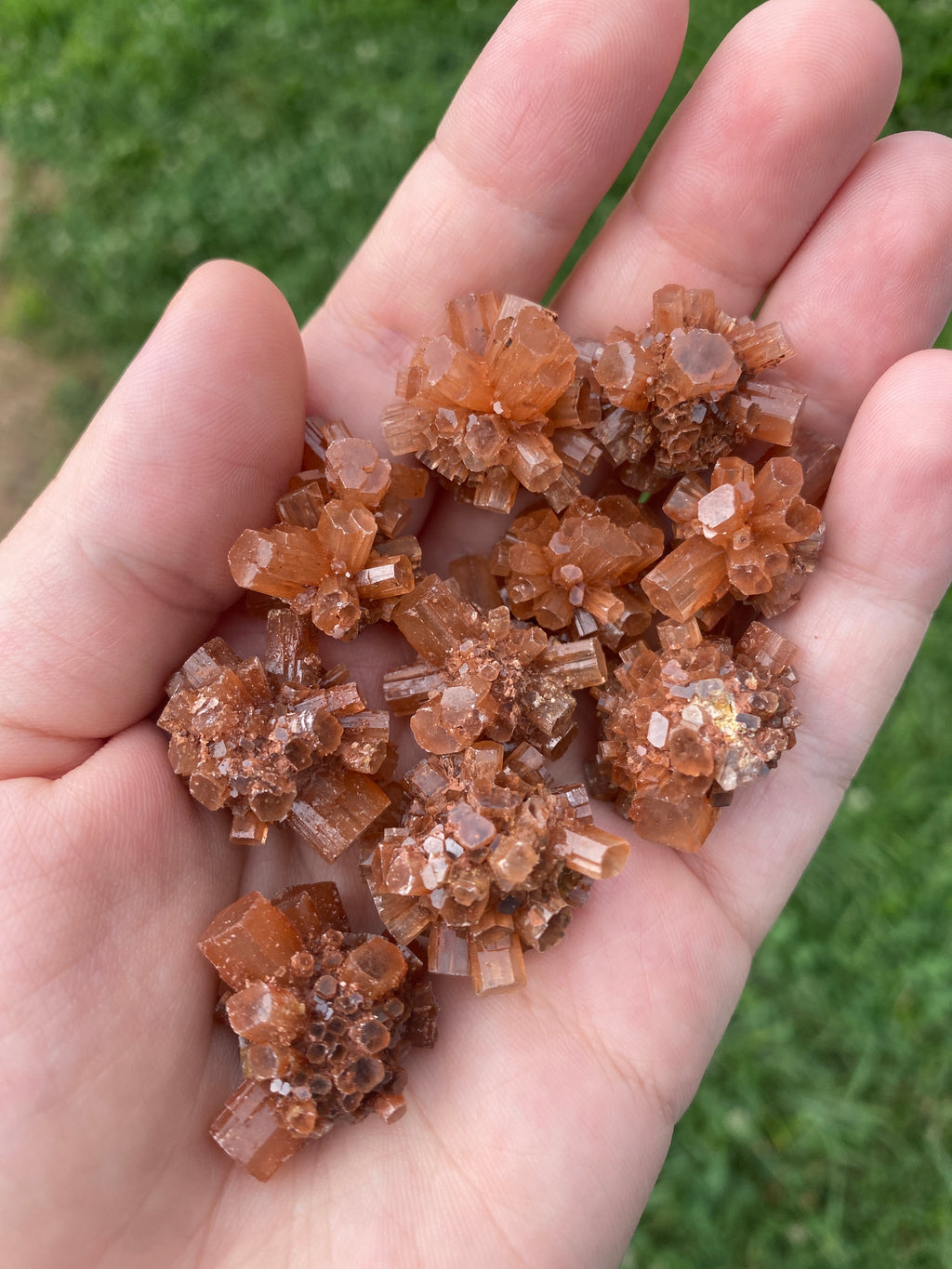 Aragonite