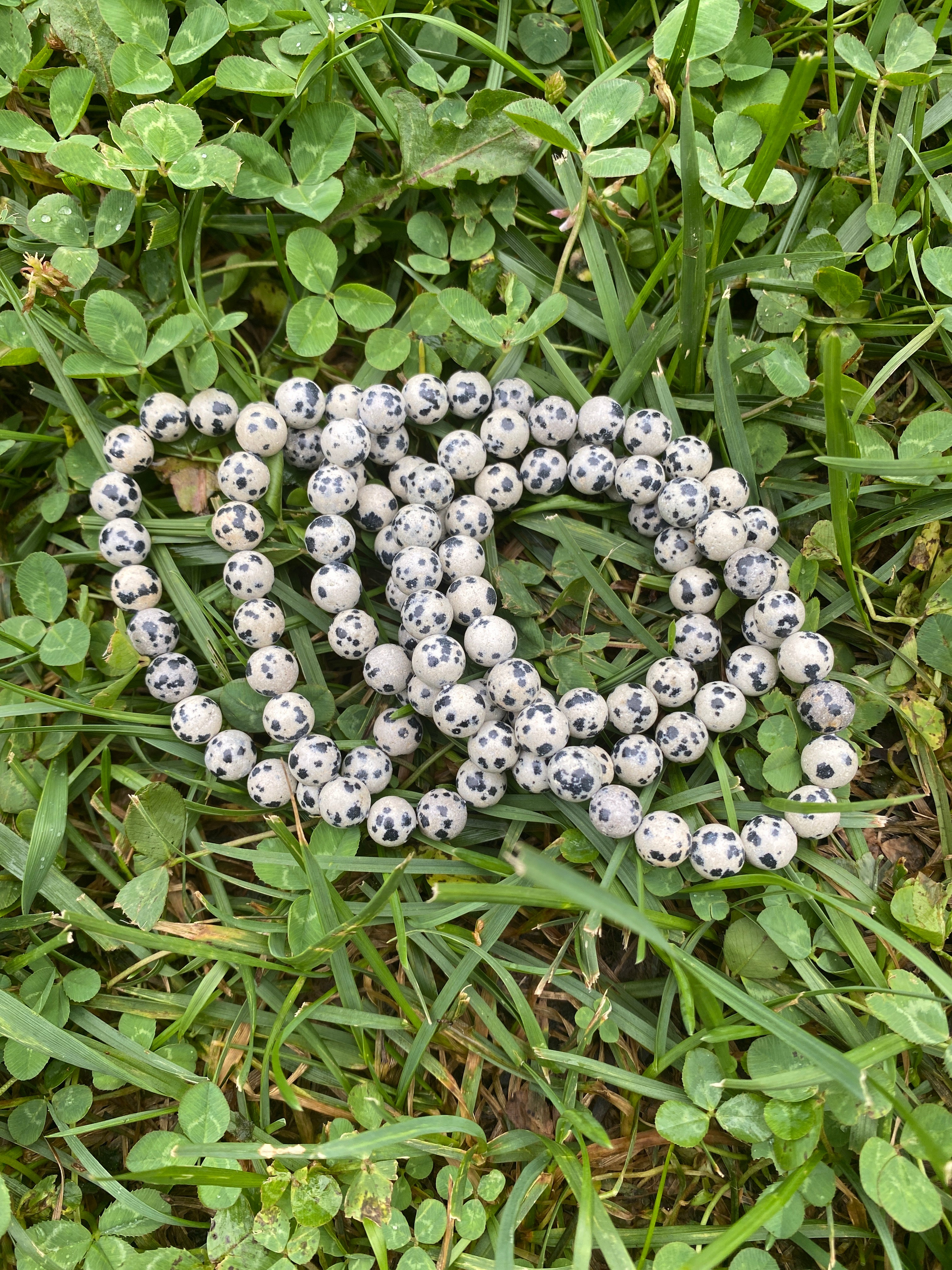 Dalmatian Jasper Bracelet