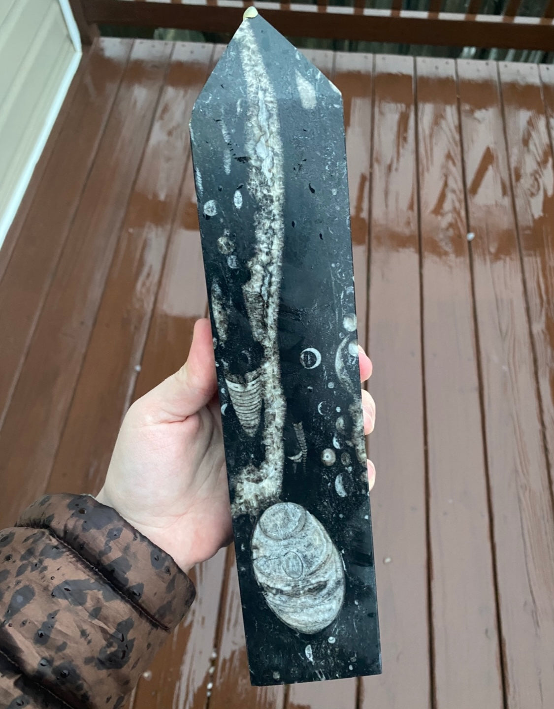 Orthoceras Fossil Tower