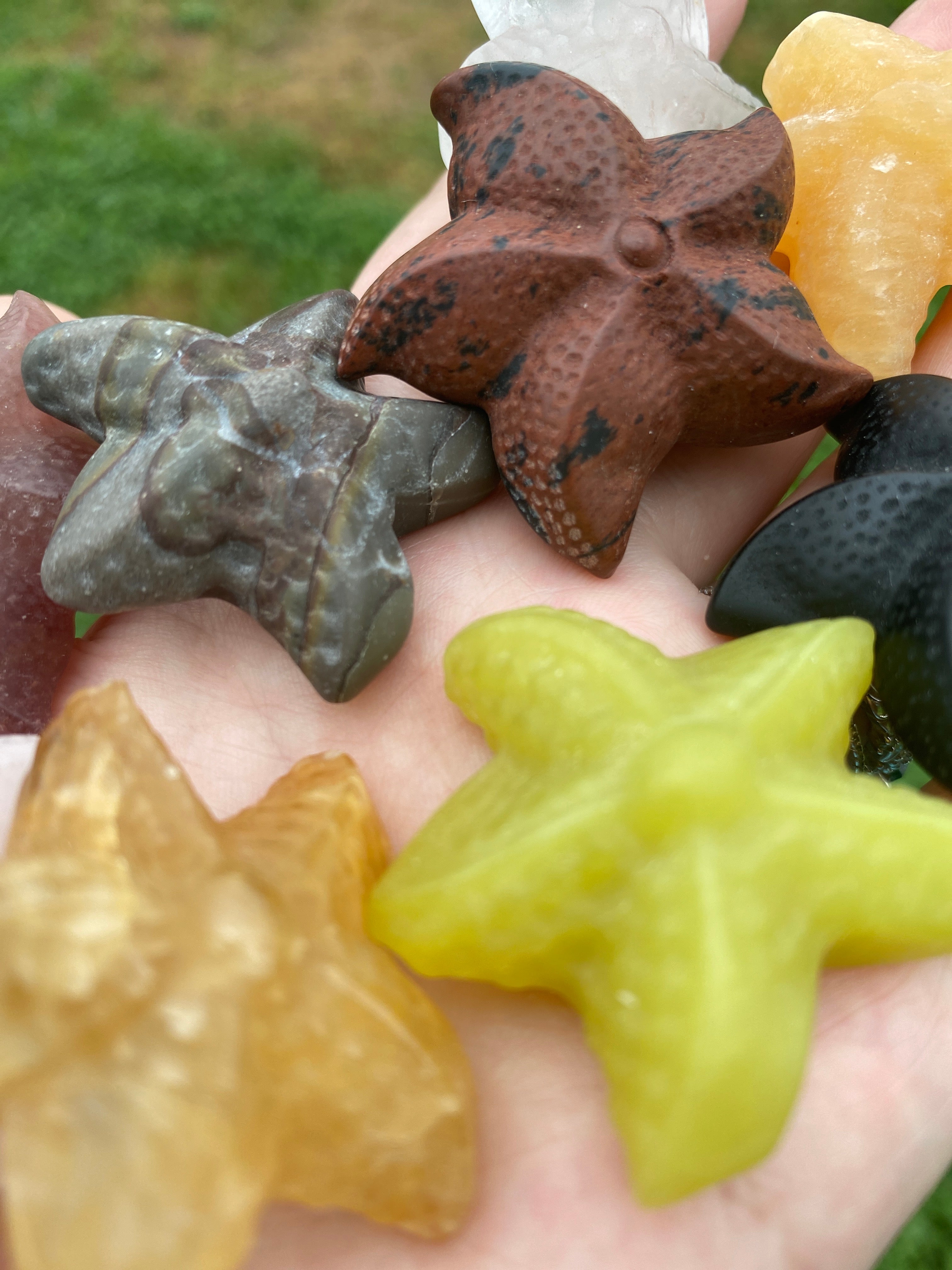 Starfish