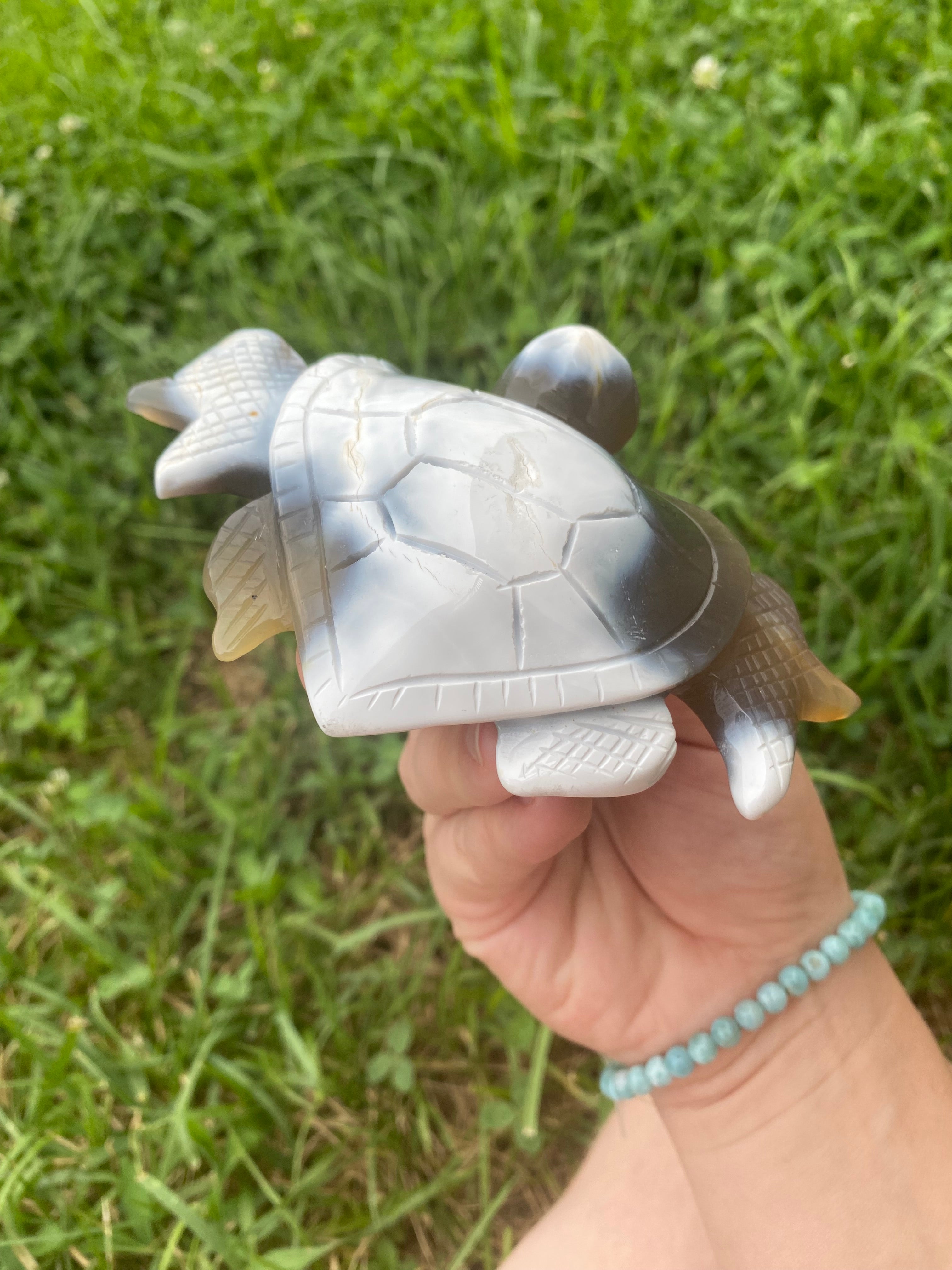 Orca Agate Turtle