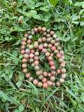 Unakite Bracelet