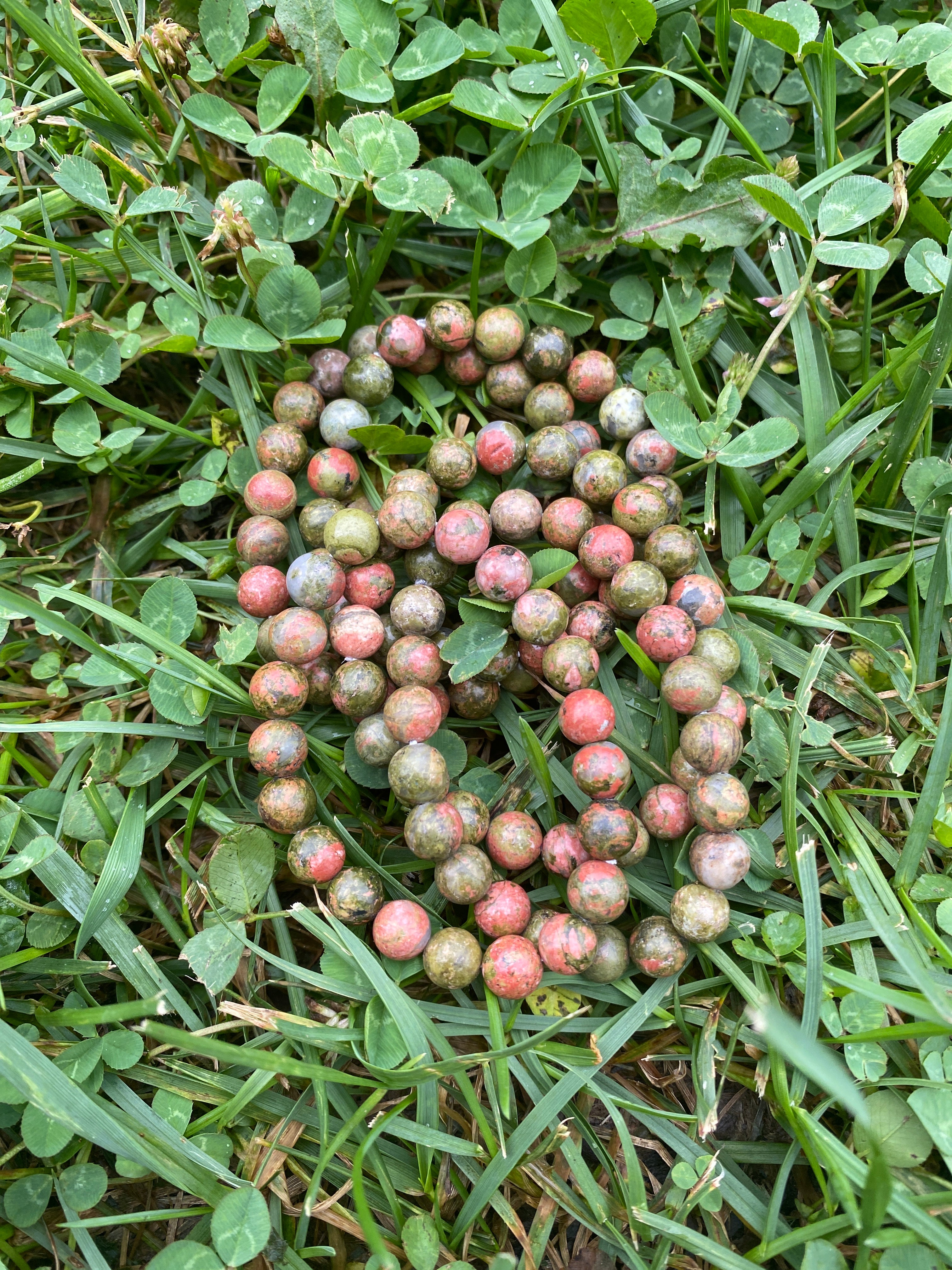 Unakite Bracelet