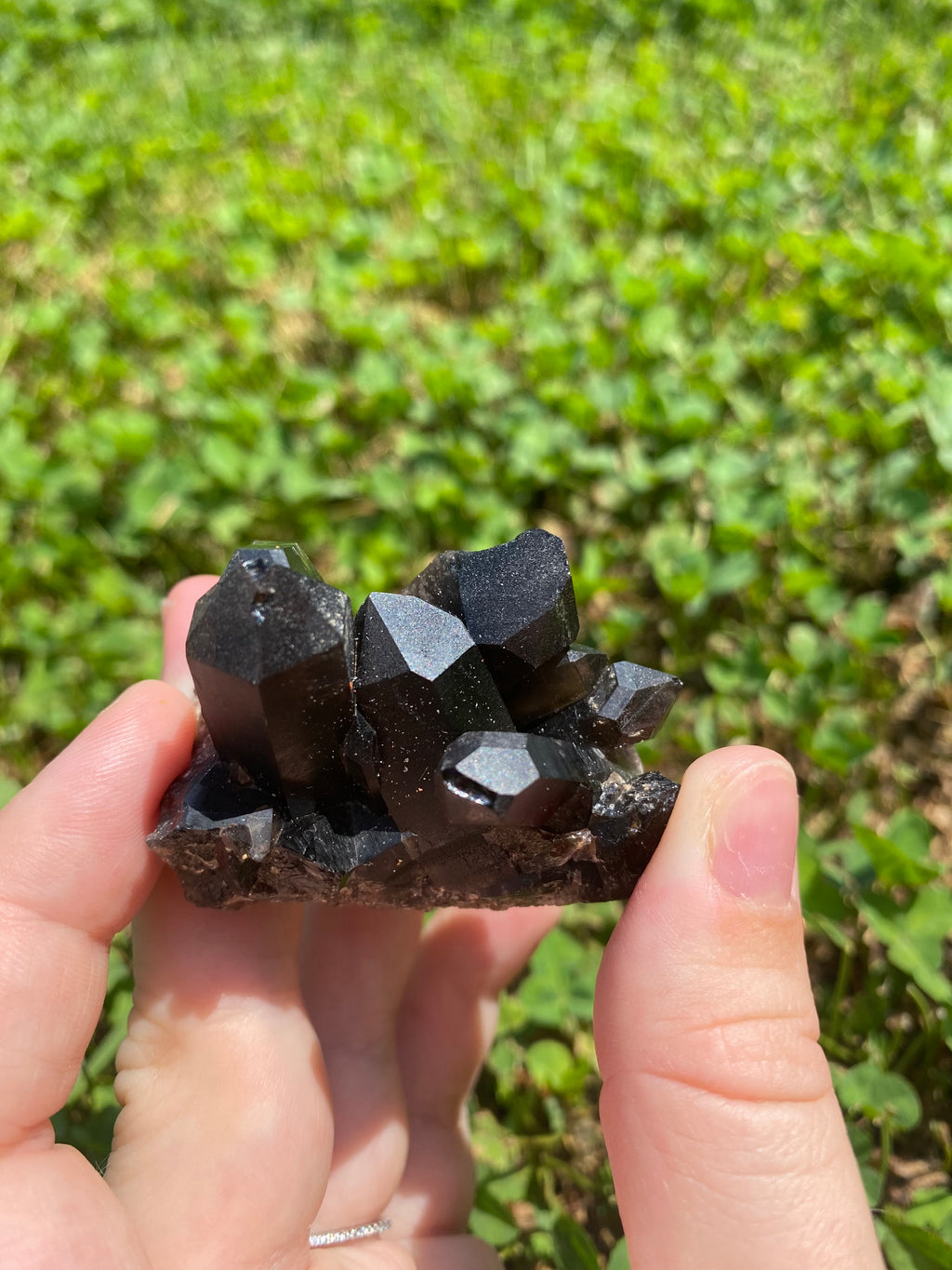 Smoky Quartz Cluster