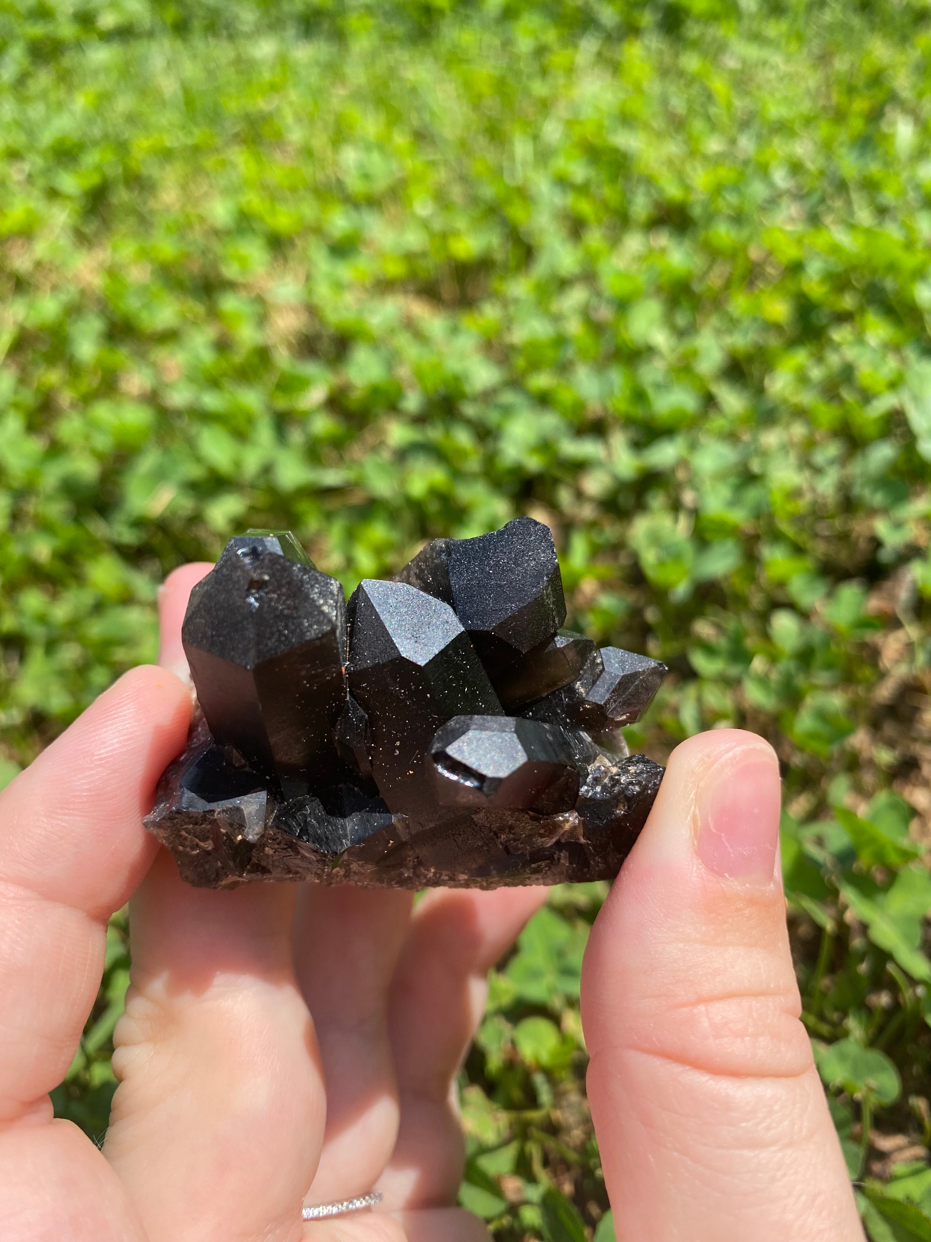 Smoky Quartz Cluster