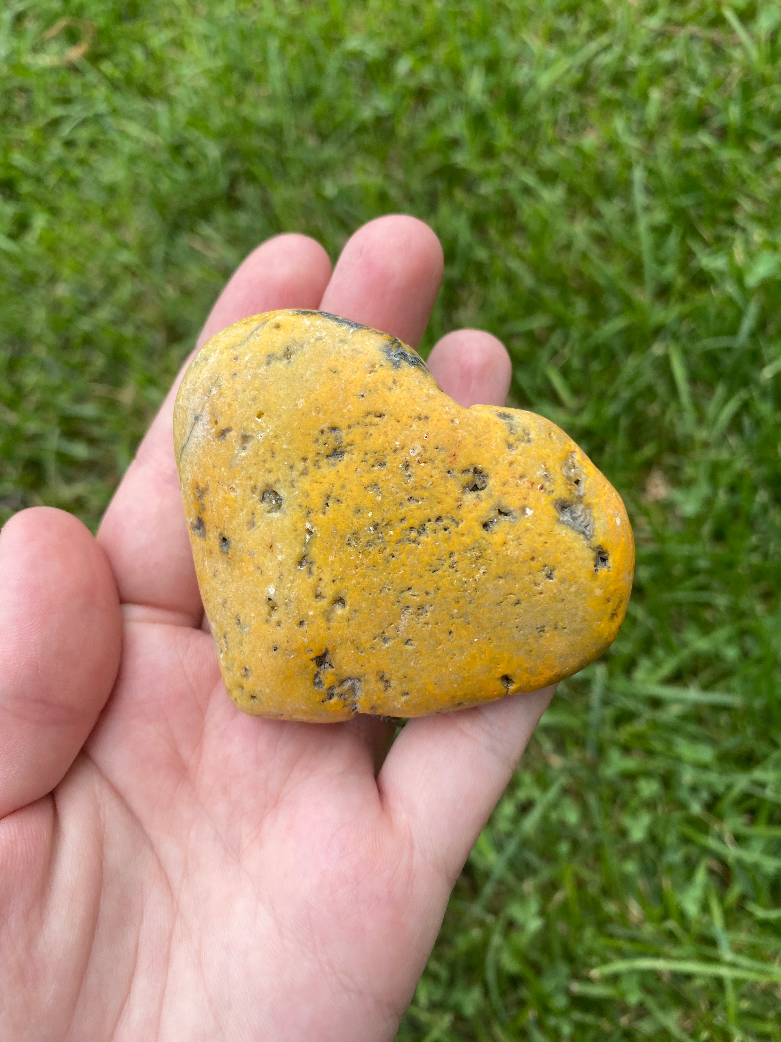 Bumblebee Jasper Heart