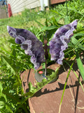 Dream Amethyst Butterfly
