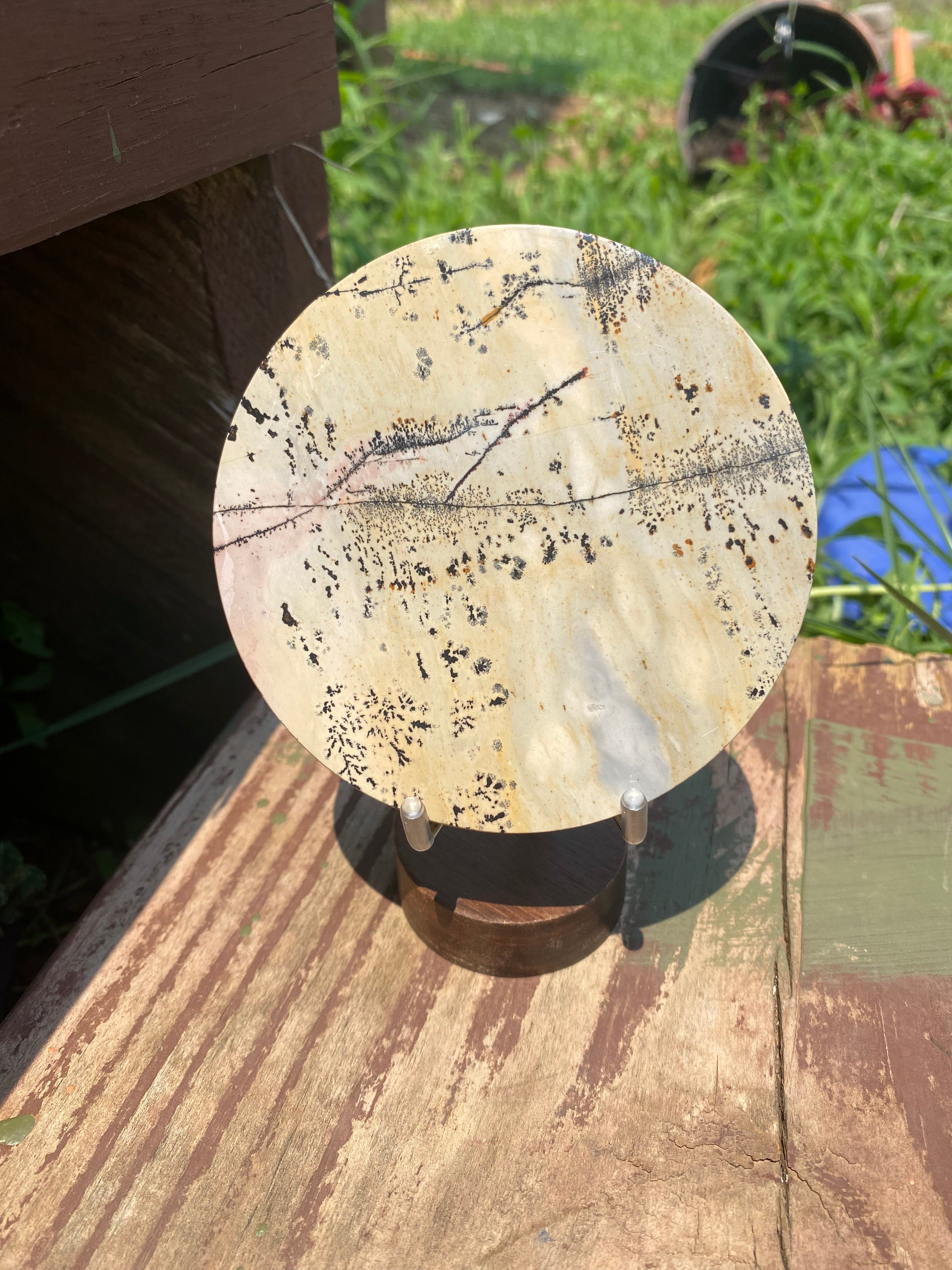Picture Jasper Disc