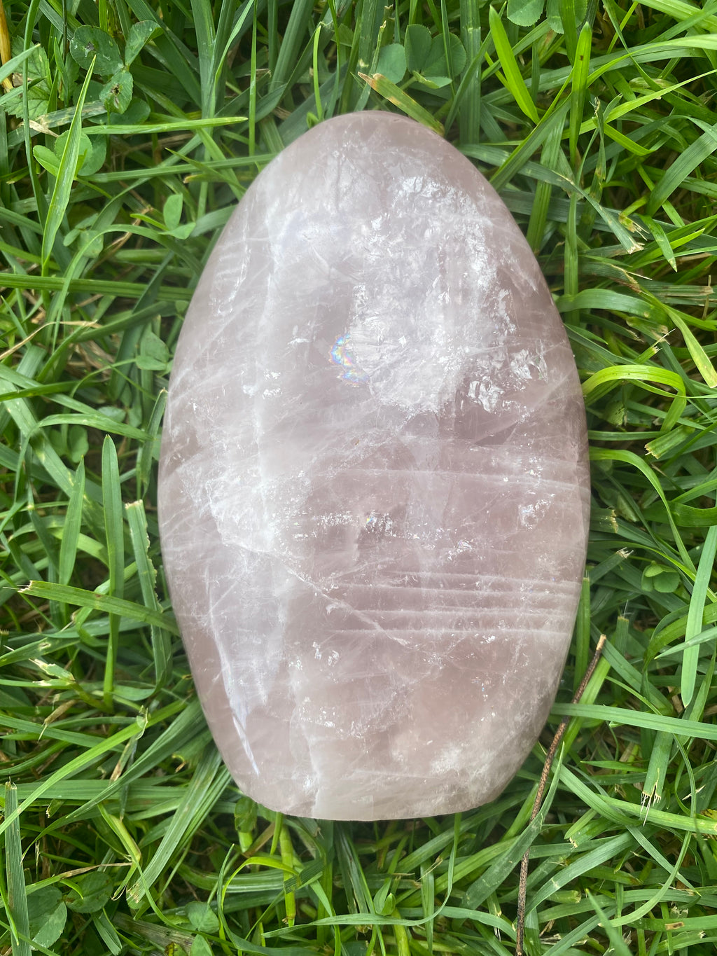 Blue Rose Quartz Freeform