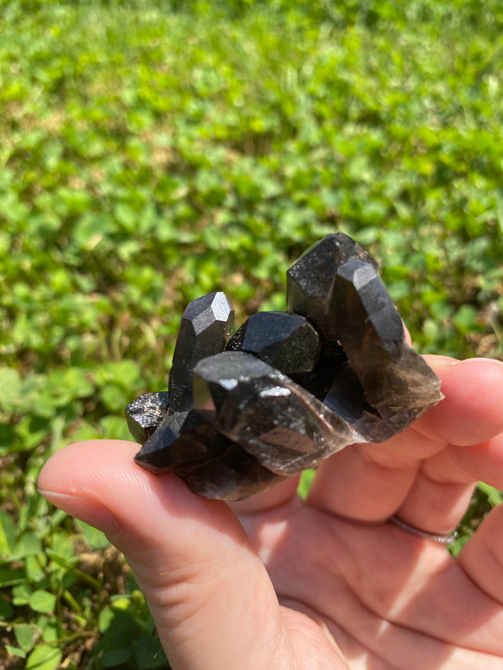 Smoky Quartz Cluster