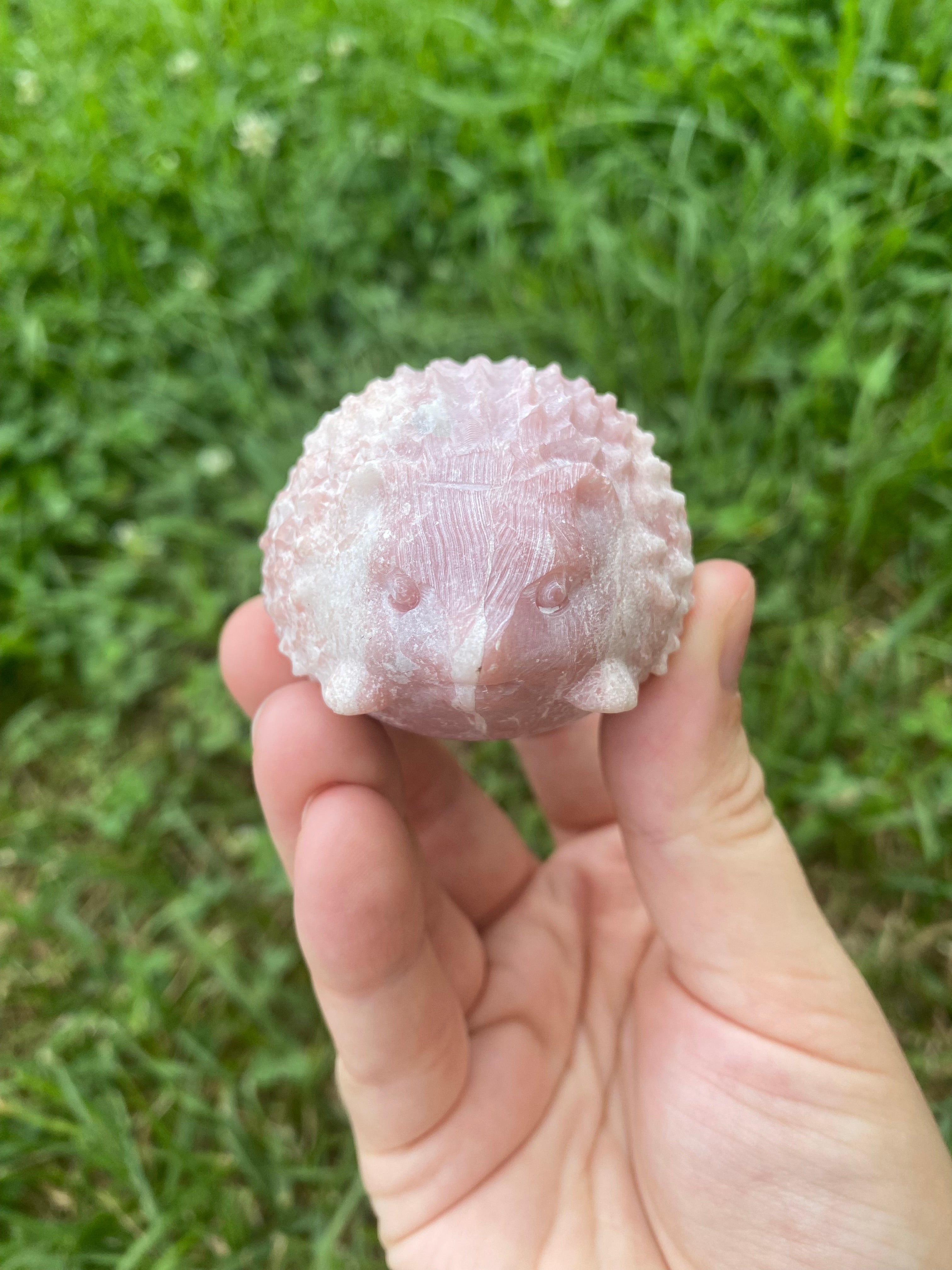 Pink Opal Hedgehog