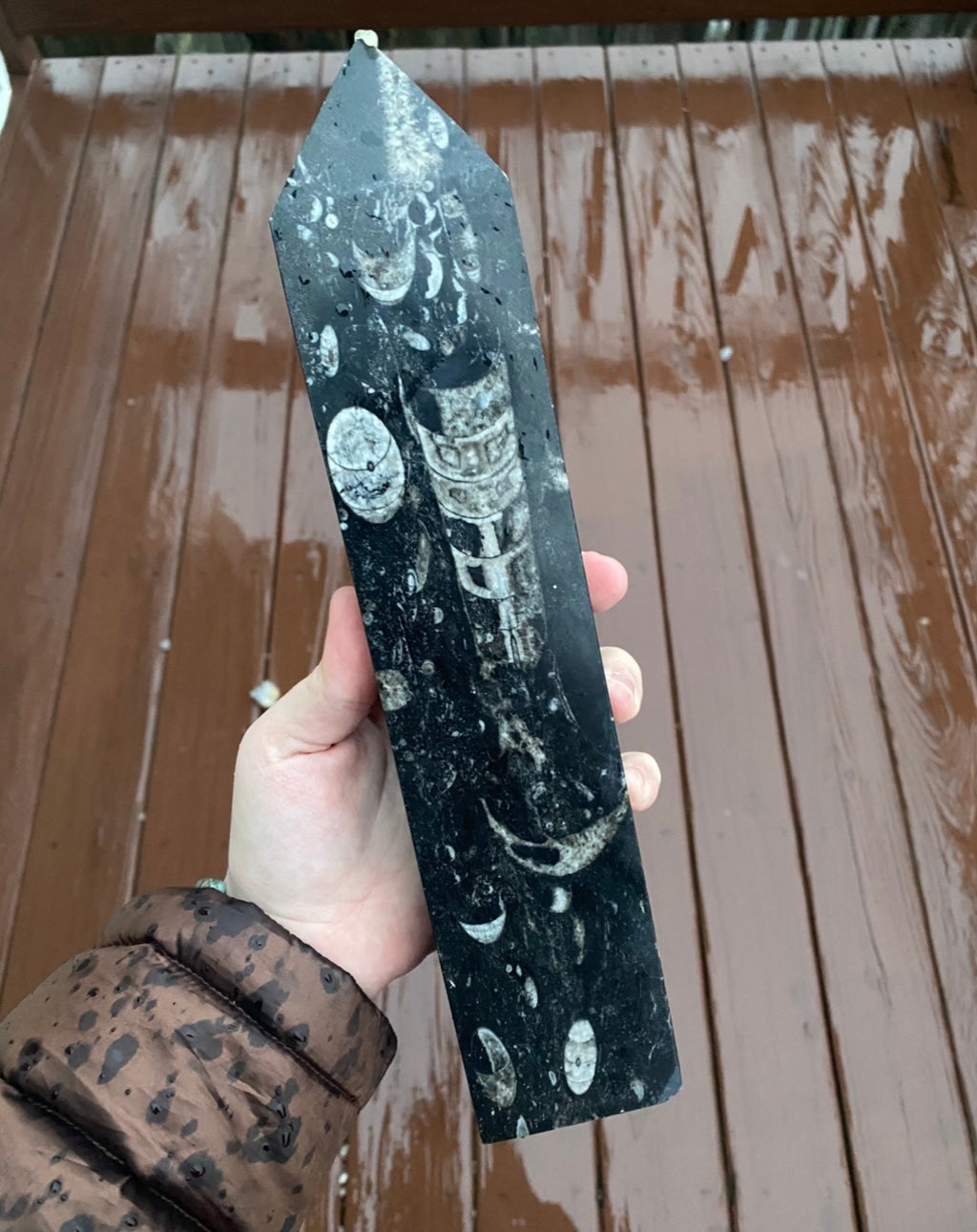 Orthoceras Fossil Tower