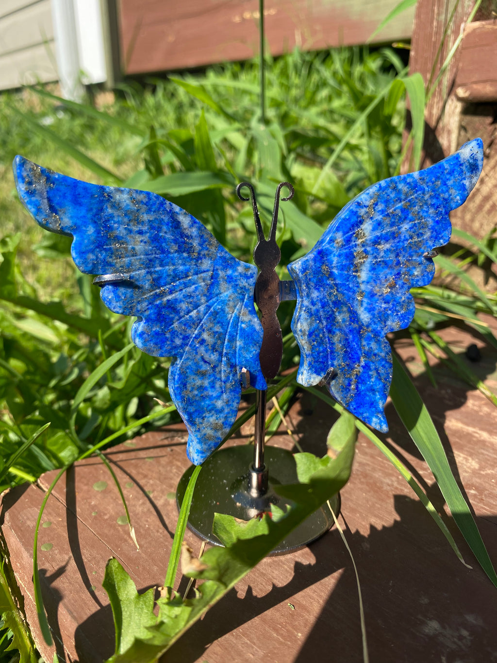 Lapis Lazuli Butterfly