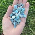 Larimar Chips