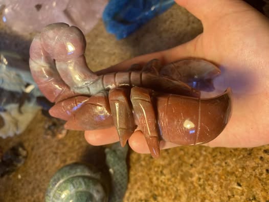 Ocean Jasper Scorpion