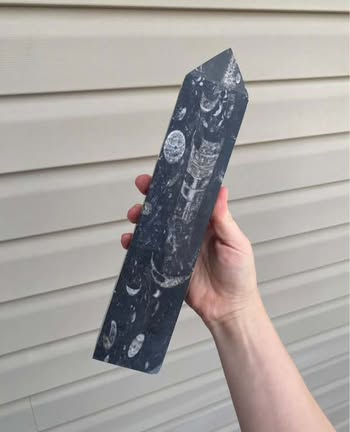 Orthoceras Fossil Tower