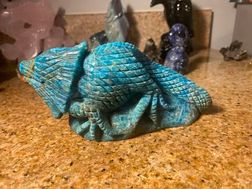 Blue Apatite Lizard