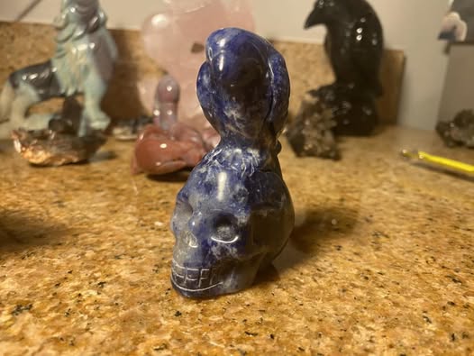 Sodalite Skull X Raven Carving