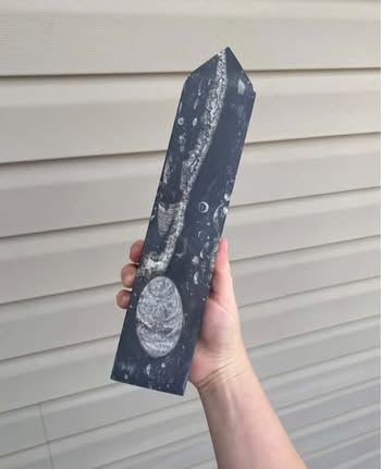 Orthoceras Fossil Tower