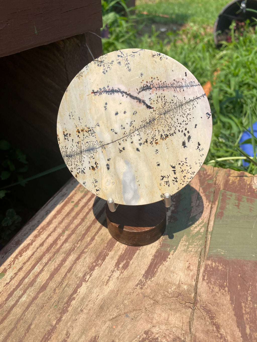 Picture Jasper Disc