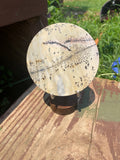 Picture Jasper Disc
