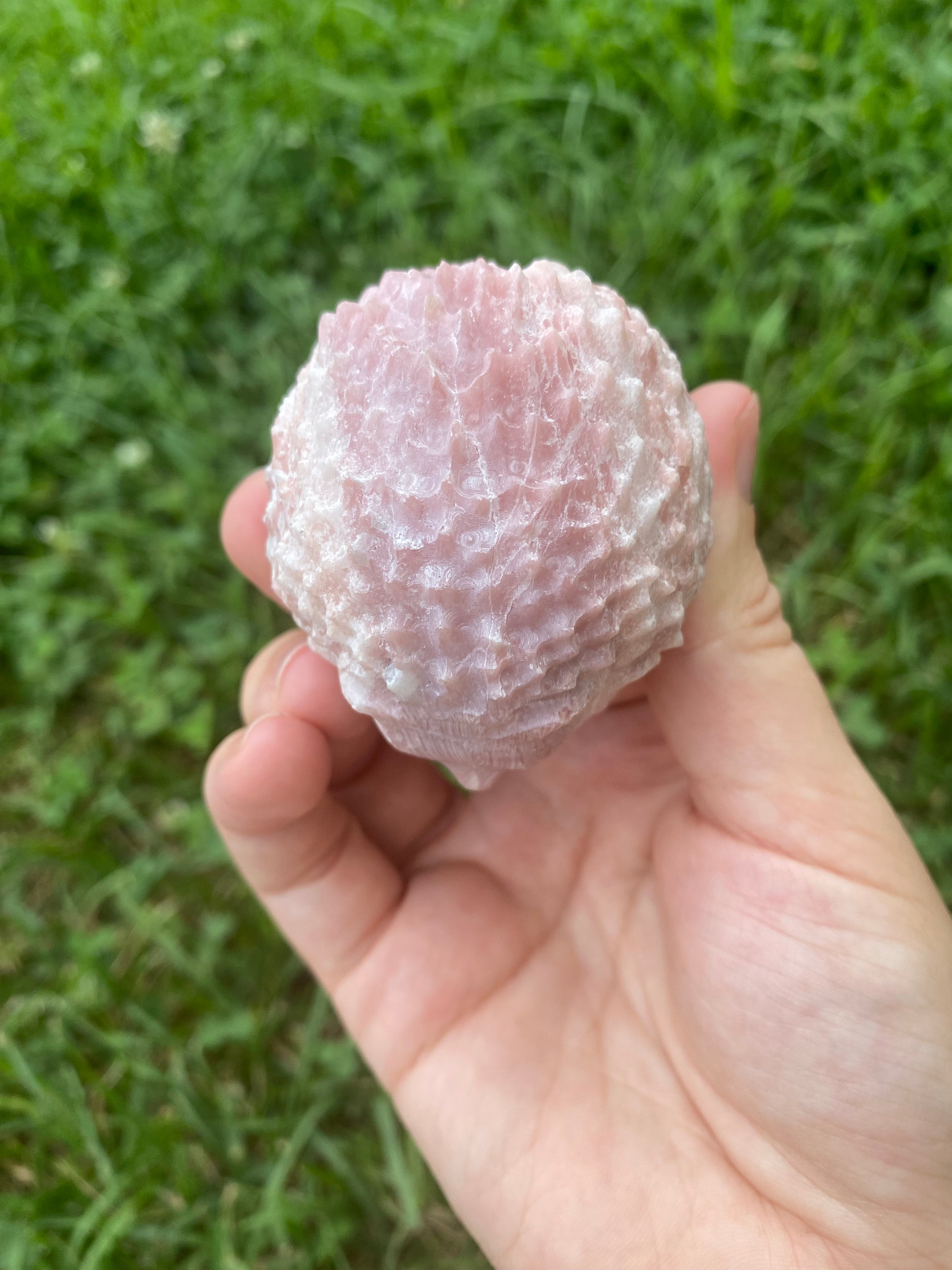 Pink Opal Hedgehog
