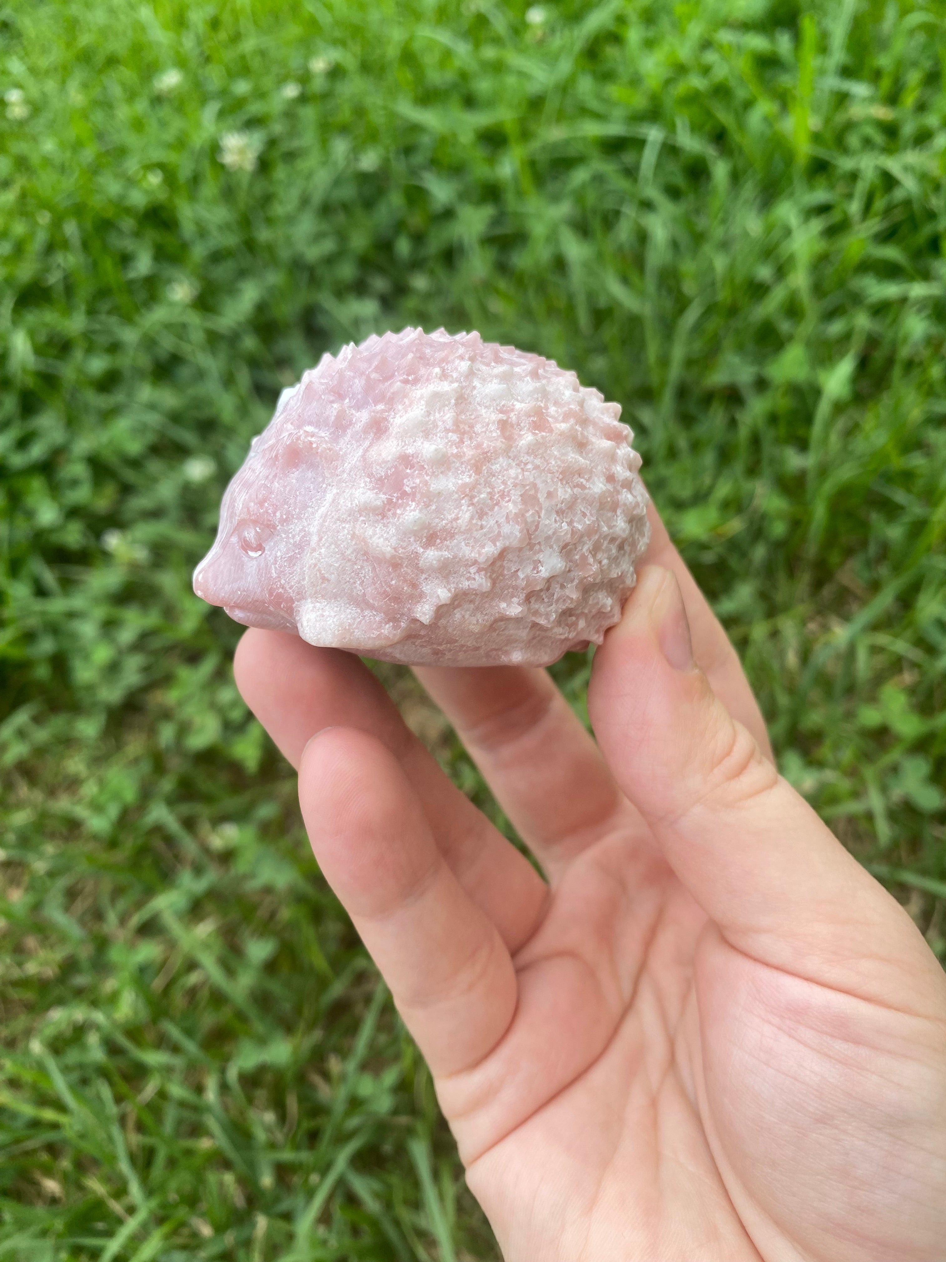 Pink Opal Hedgehog