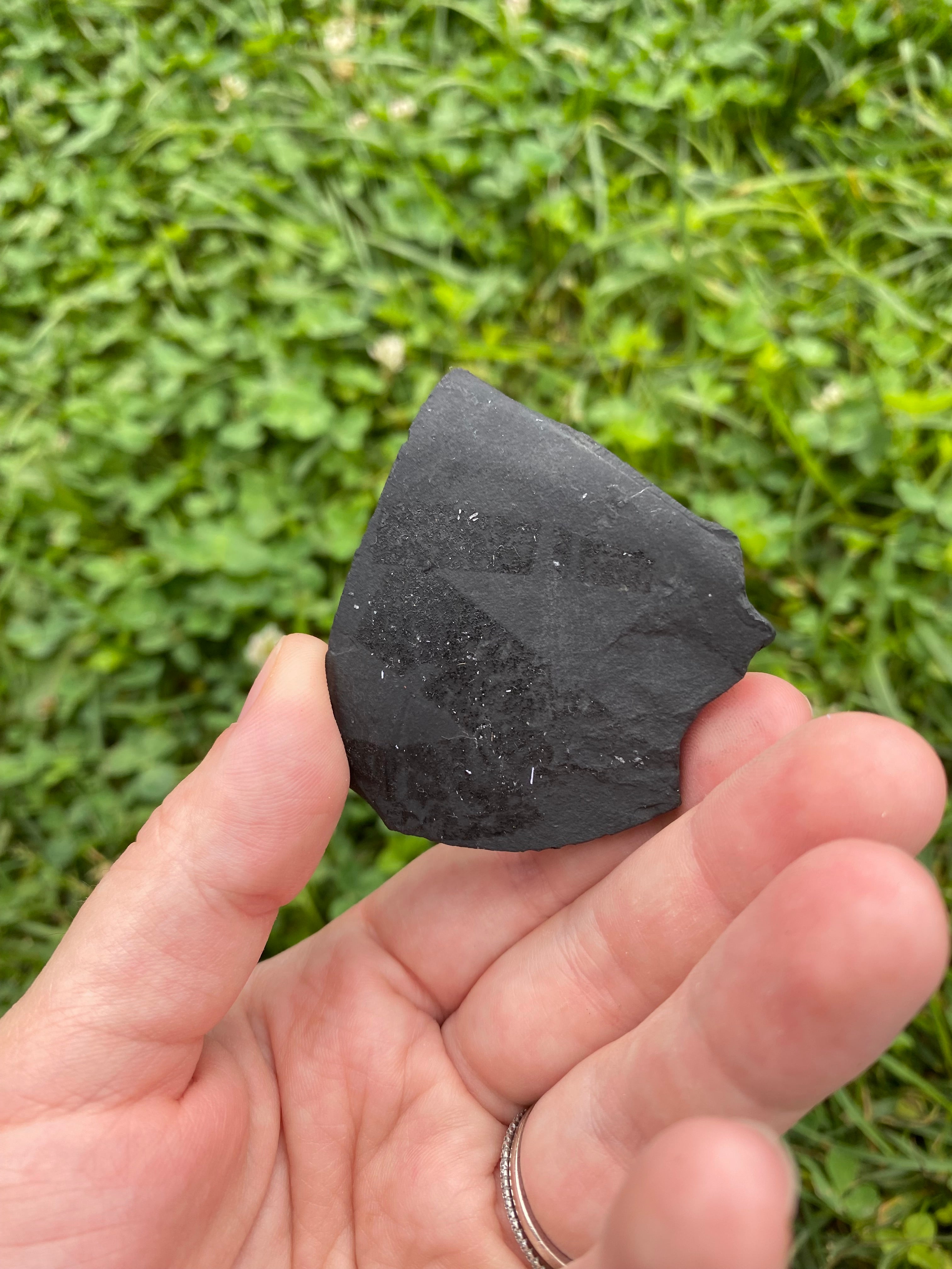 Shungite Specimen