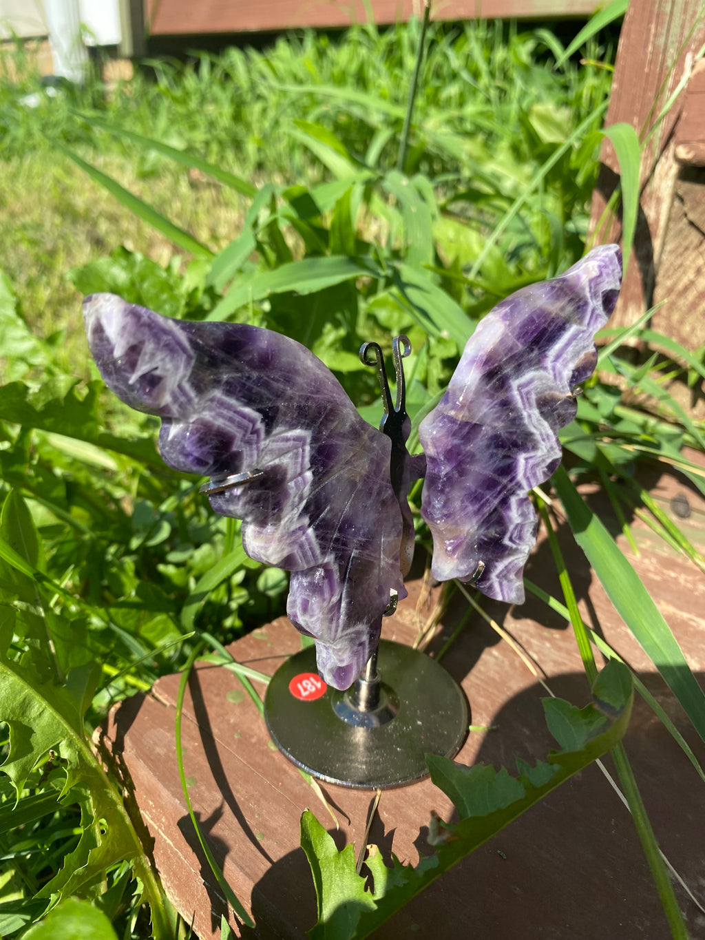 Dream Amethyst Butterfly