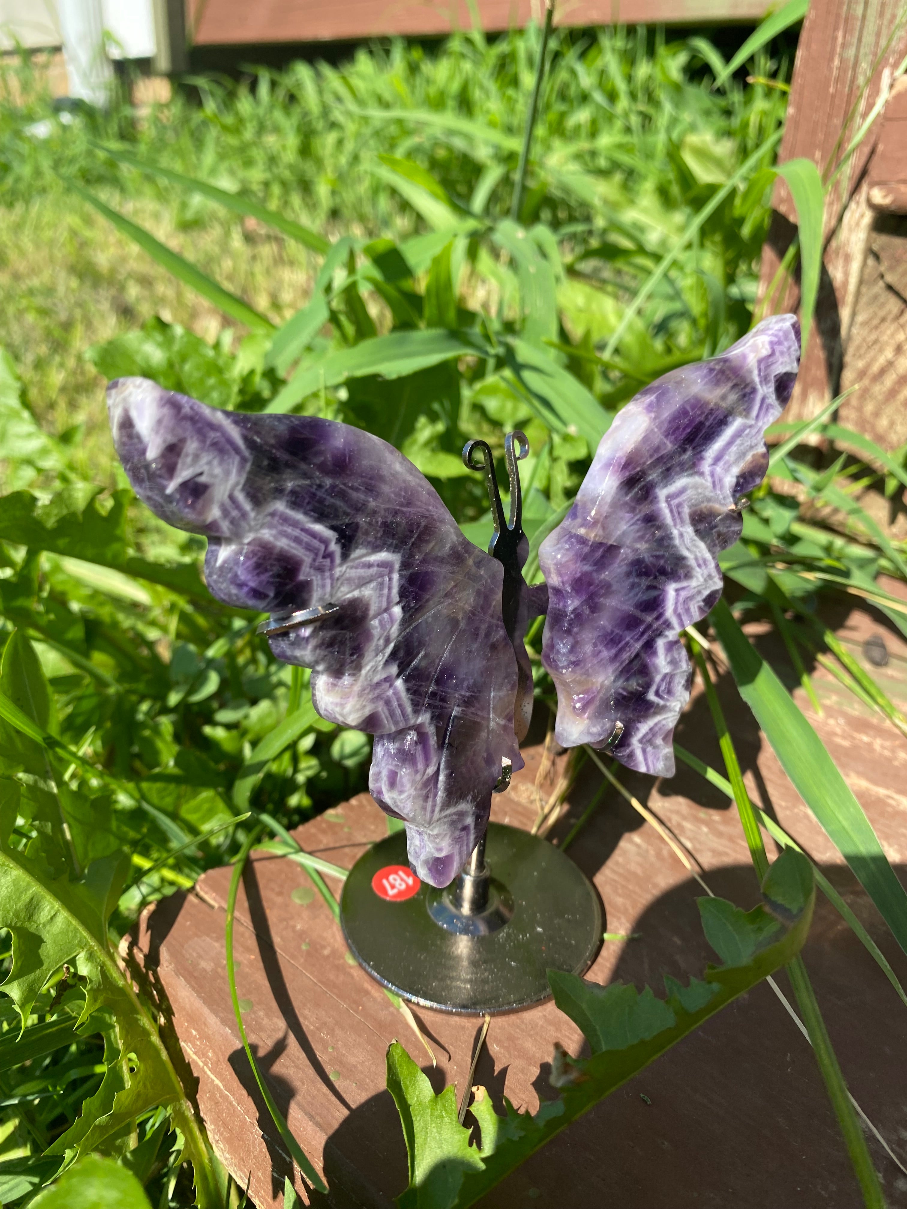 Dream Amethyst Butterfly