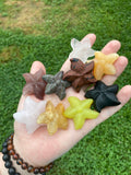 Starfish