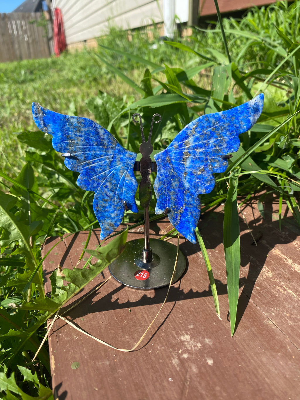 Lapis Lazuli Butterfly