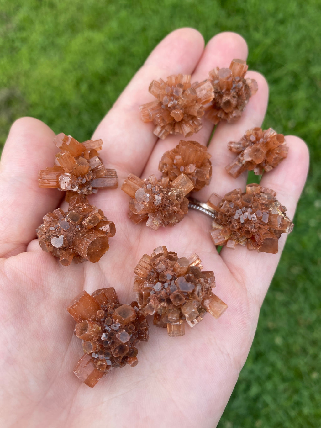 Aragonite