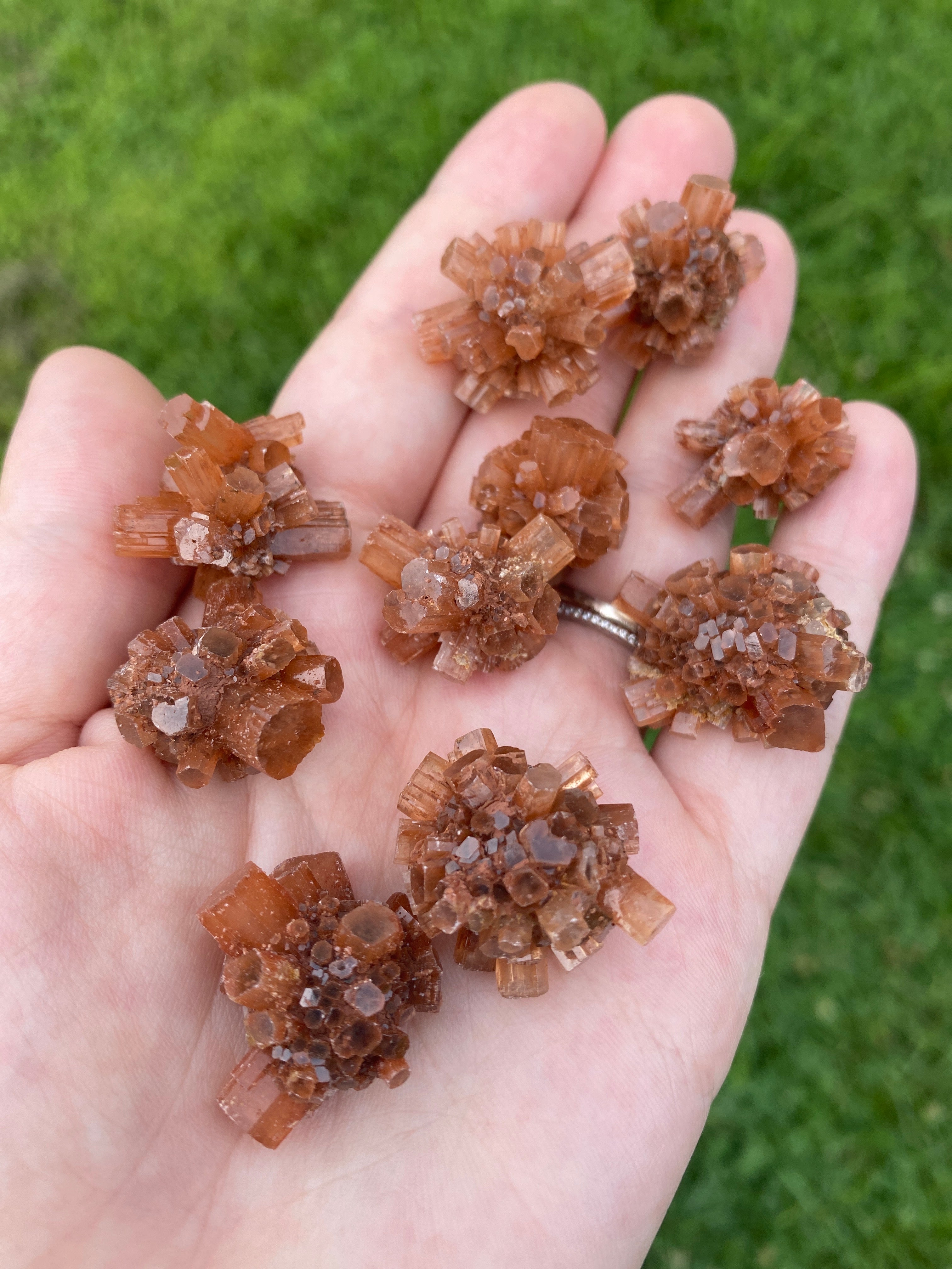 Aragonite