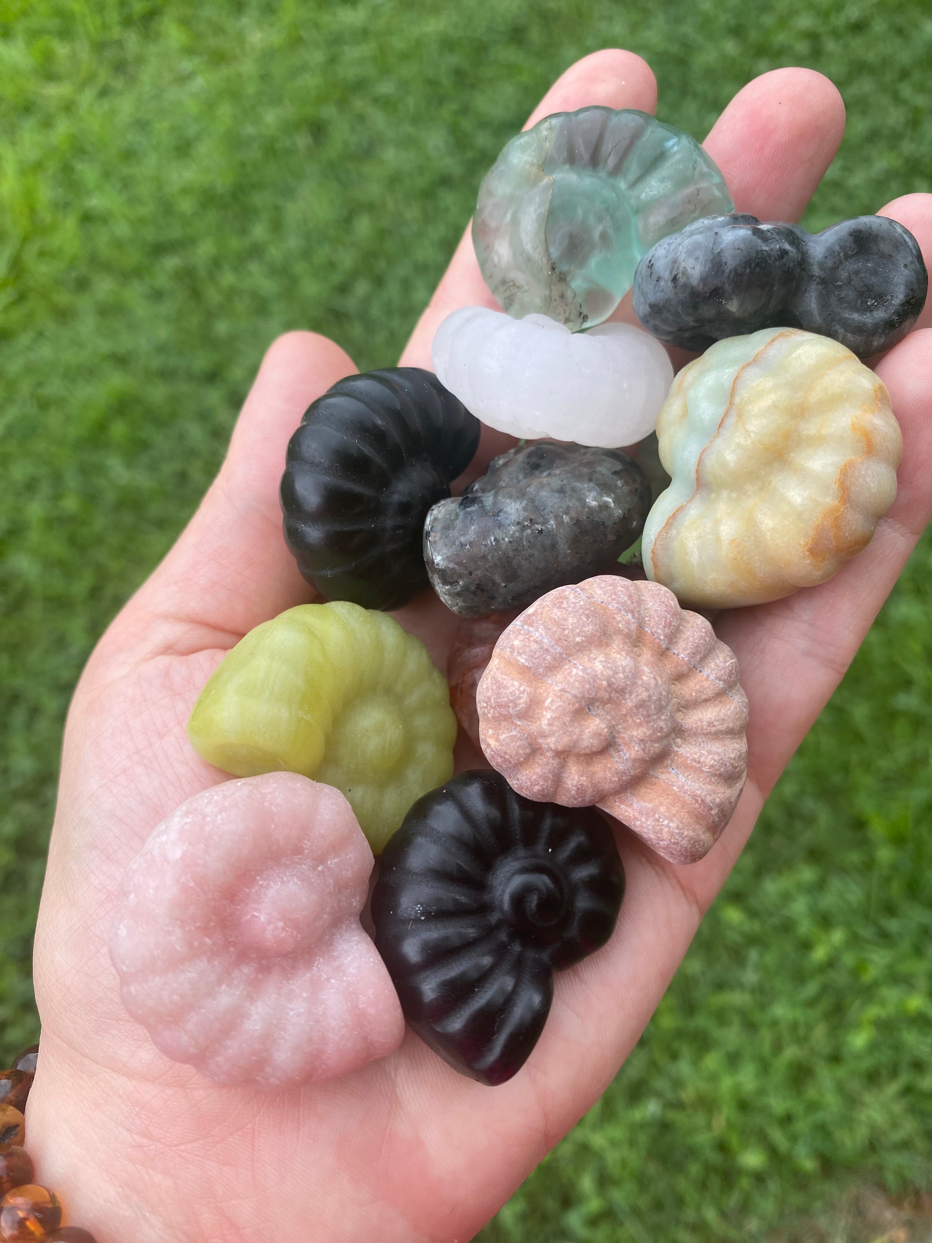 Shell Carving