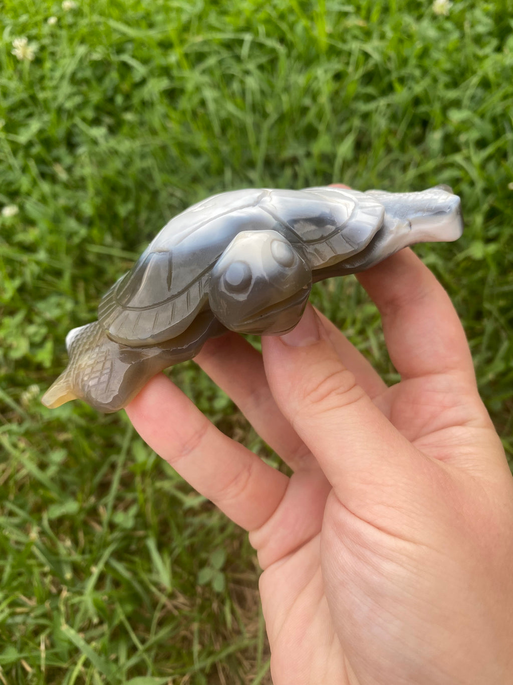 Orca Agate Turtle