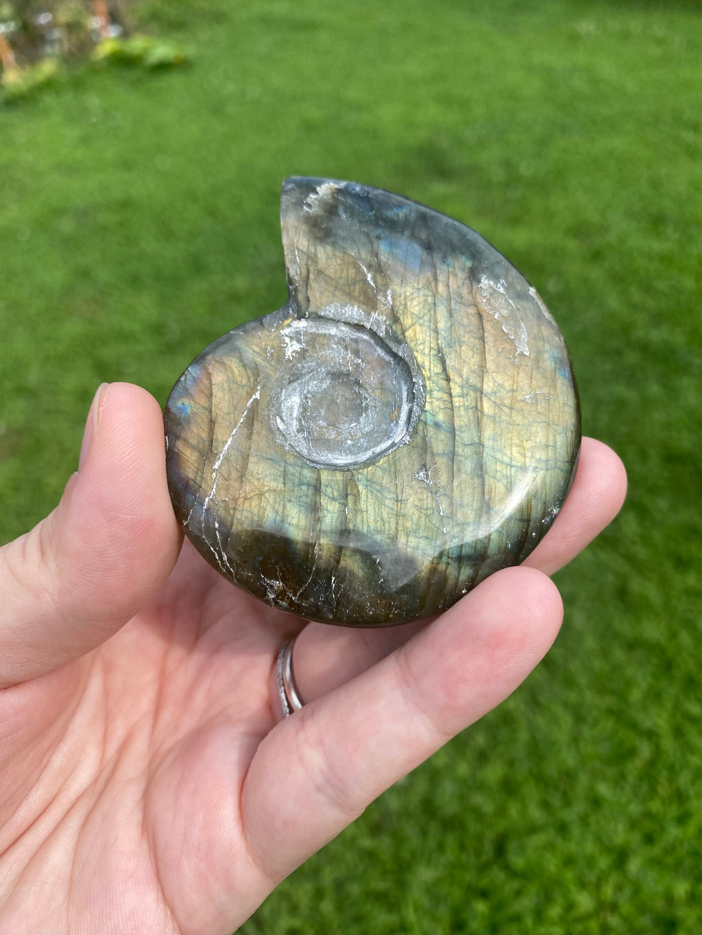 Labradorite Shell Carving