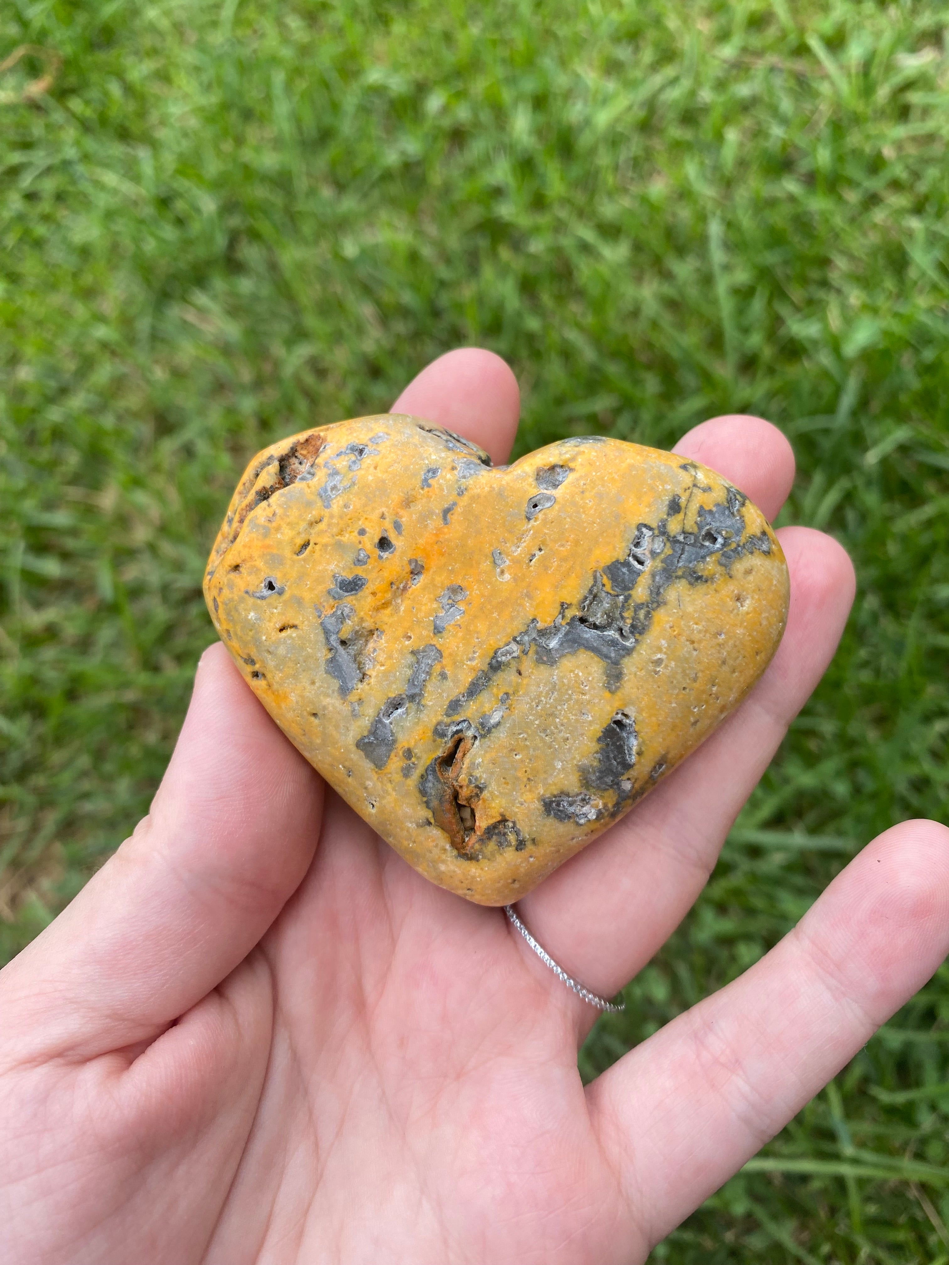 Bumblebee Jasper Heart