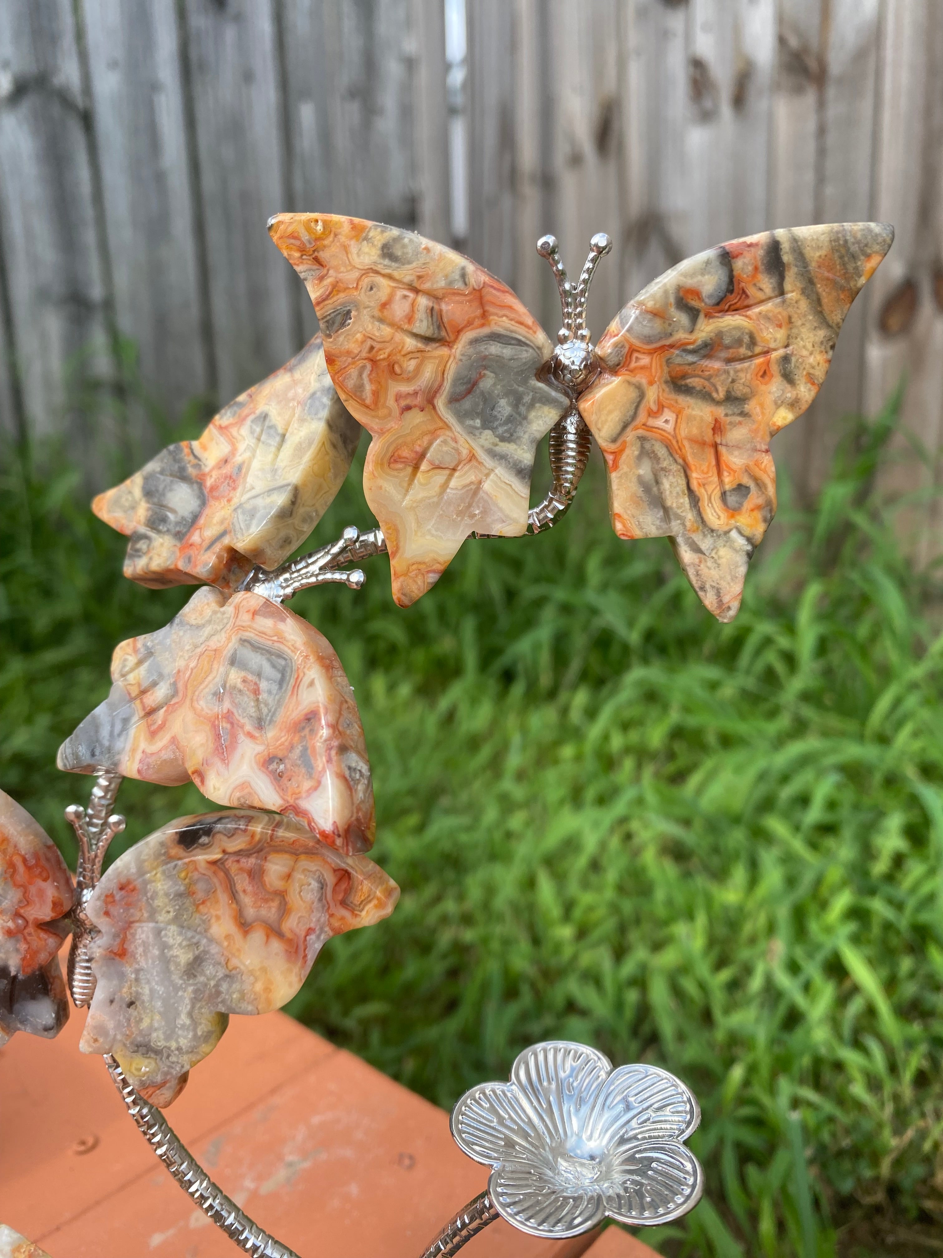 Crazy Lace Agate Butterfly Sphere Stand