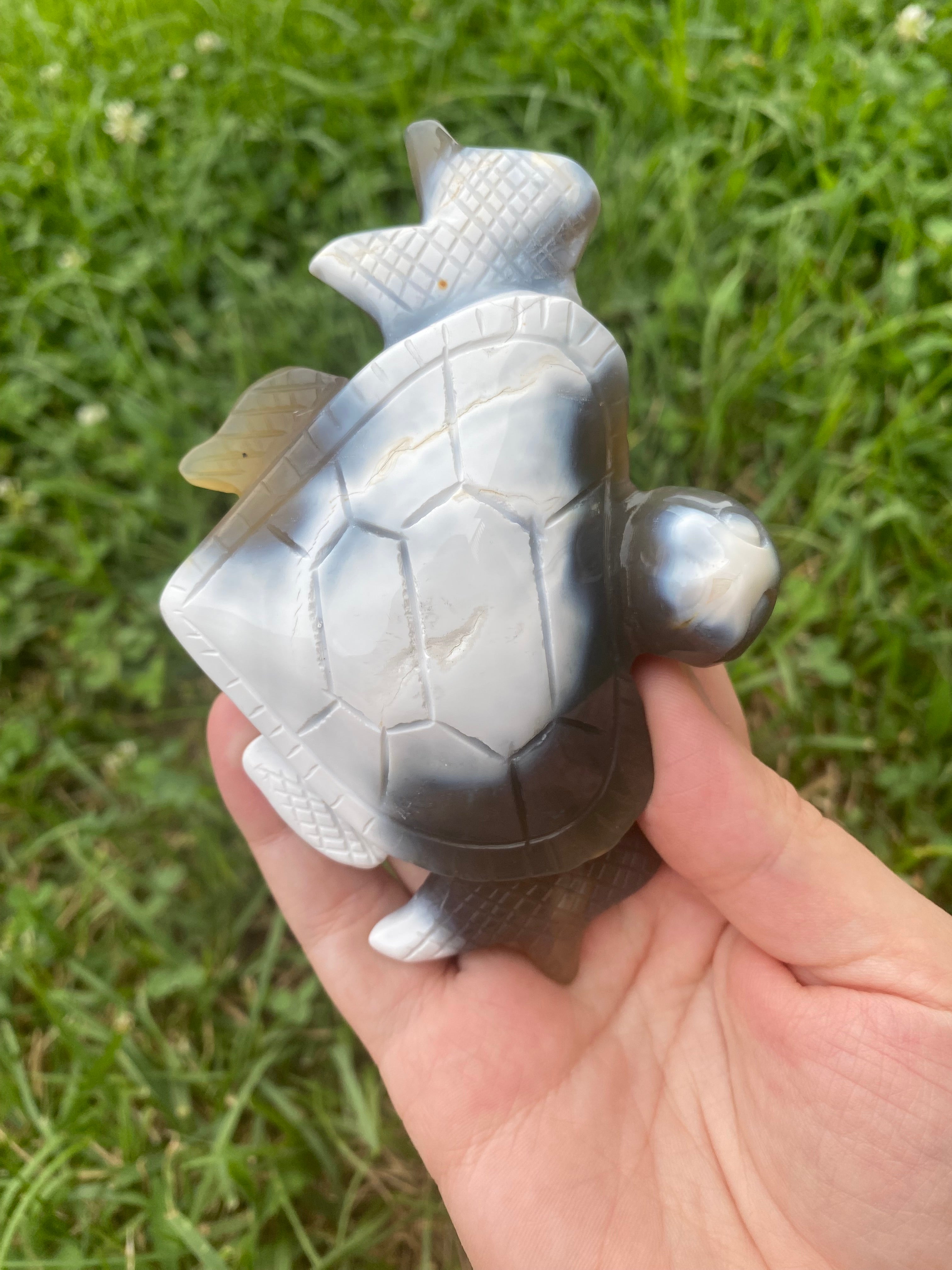 Orca Agate Turtle