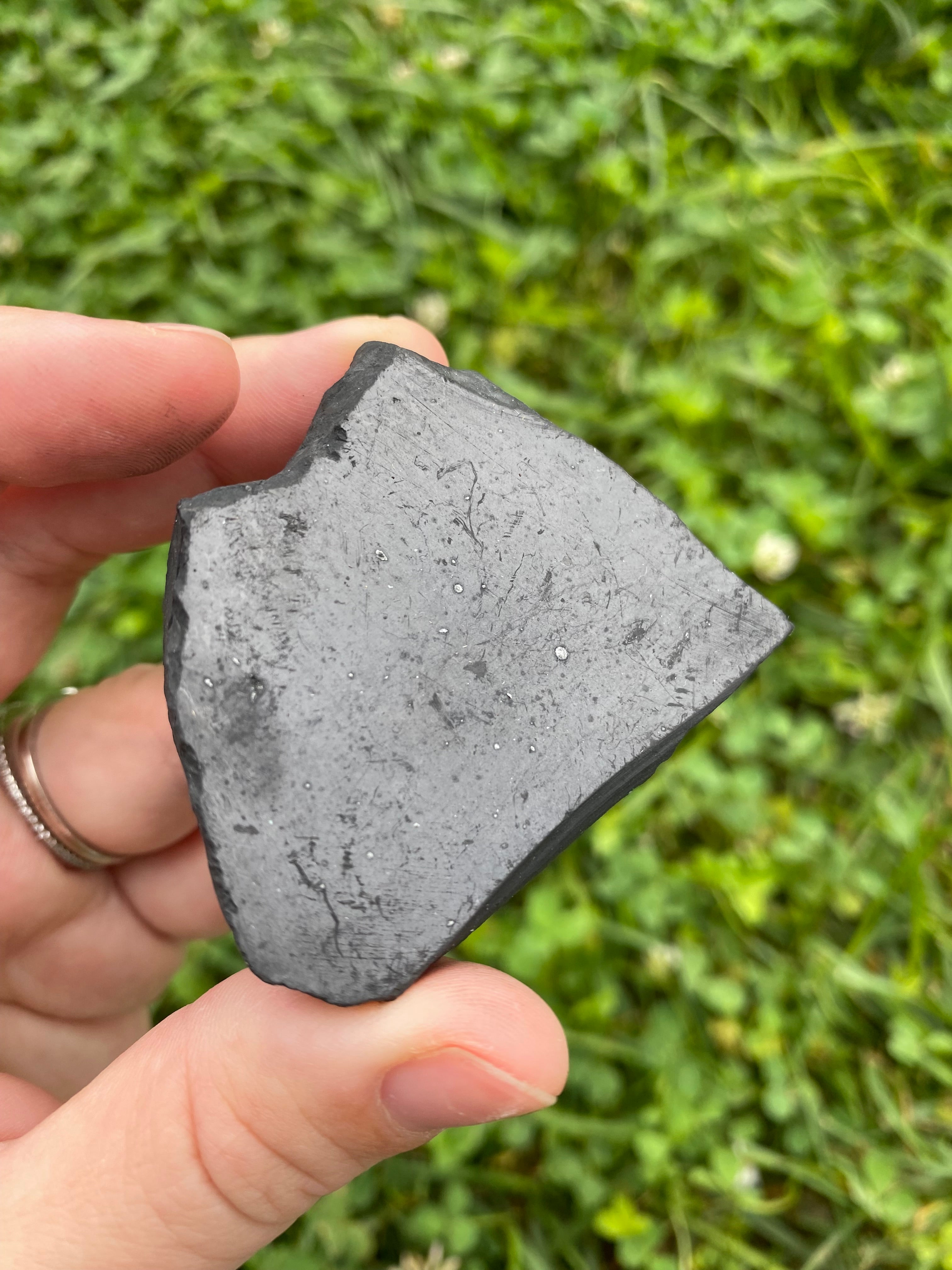 Shungite Specimen