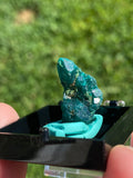 Dioptase Specimen