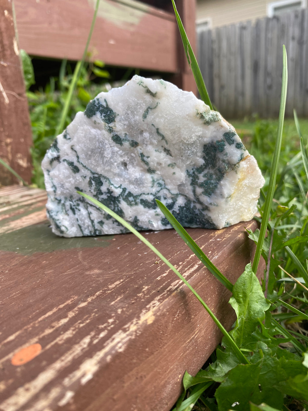 Tree Agate Freestanding