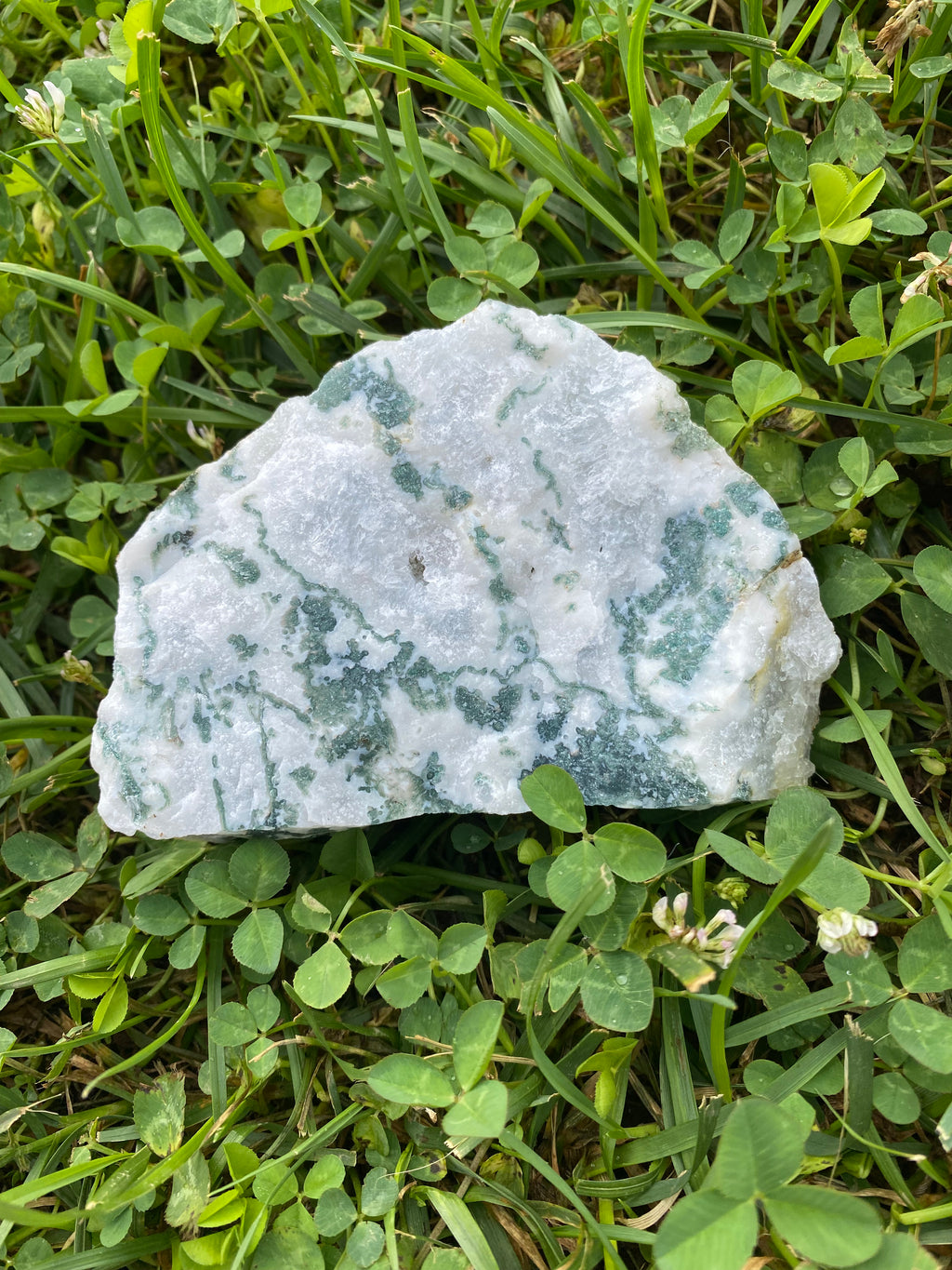 Tree Agate Freestanding