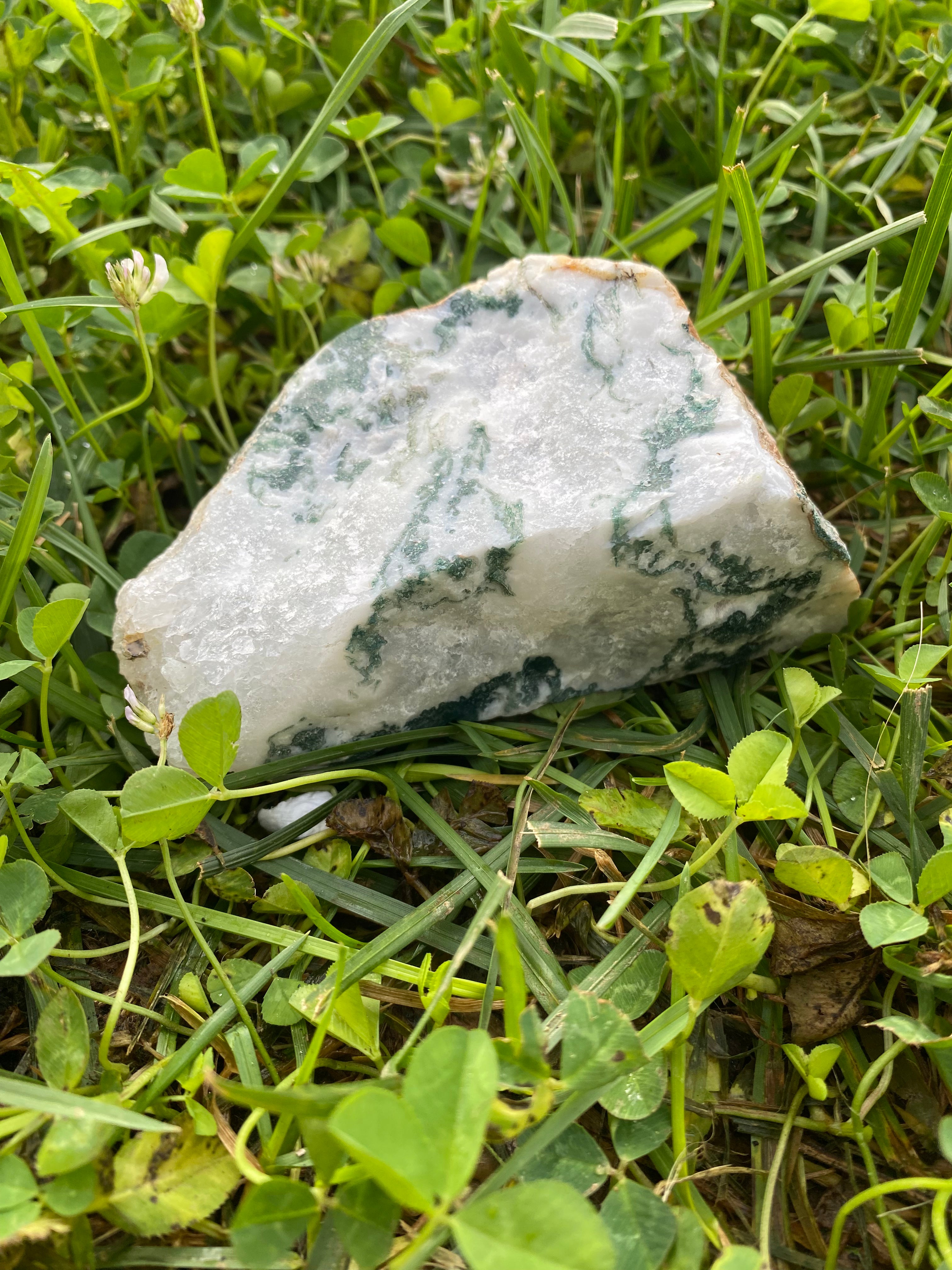Tree Agate Freestanding